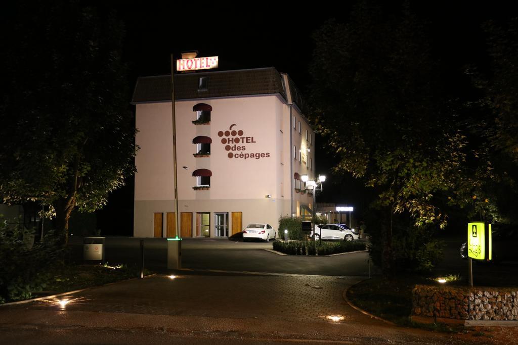 Logis Hotel Des Cepages Arbois Exterior photo
